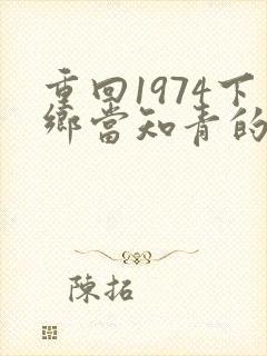 重回1974下乡当知青的小说