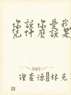 你说你爱我爱我凭什么说是什么歌