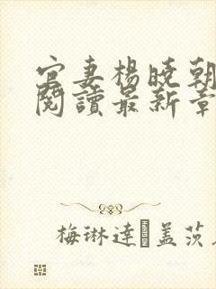 官妻杨晓朝免费阅读最新章节