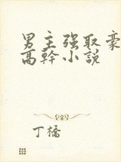 男主强取豪夺的高干小说