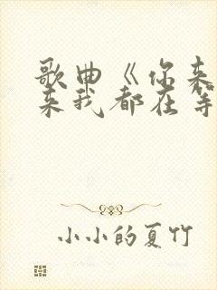 歌曲《你来与不来我都在等你》