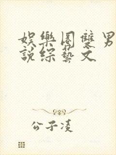 娱乐圈双男主小说综艺文