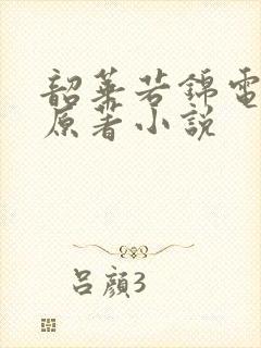 韶华若锦电视剧原著小说