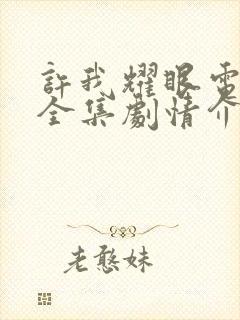 许我耀眼电视剧全集剧情介绍大结局