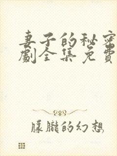 妻子的秘密电视剧全集免费观看