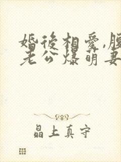 婚后相爱,腹黑老公爆萌妻