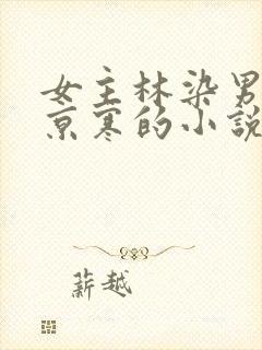 女主林染男主沈京寒的小说