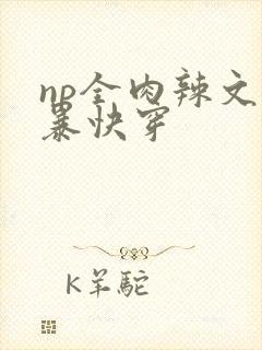 np全肉辣文粗暴快穿