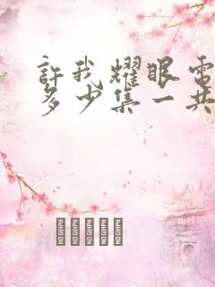 许我耀眼电视剧多少集一共几集