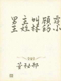 男主叫顾霆琛女主姓林的小说