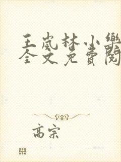 王岚林小乐小说全文免费阅读