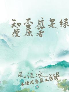 知否应是绿肥红瘦原著