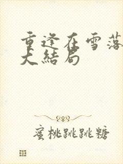 重逢在雪落之前大结局
