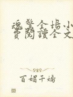 魂惊全场小说免费阅读全文最新章节