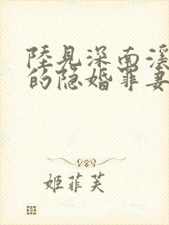 陆见深南溪陆少的隐婚罪妻