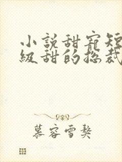 小说甜宠短篇超级甜的总裁文