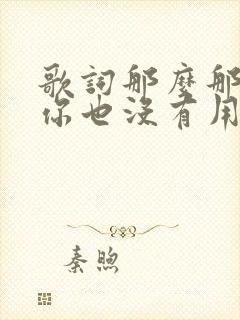 歌词那么那么爱你也没有用是什么歌