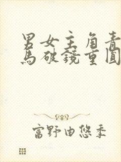 男女主角青梅竹马破镜重圆的高干文