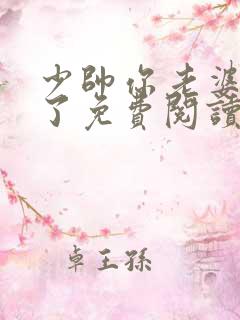 少帅你老婆又跑了免费阅读全文