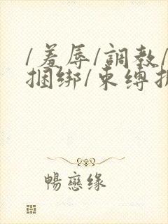 /羞辱/调教/捆绑/束缚折磨