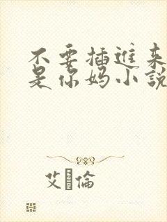 不要插进来,我是你妈小说