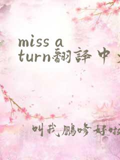 miss a turn翻译中文