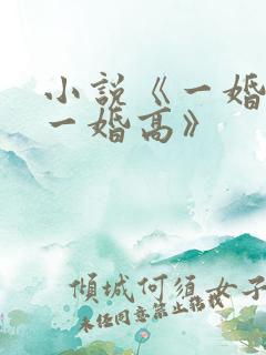 小说《一婚更比一婚高》
