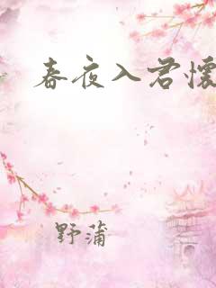 春夜入君怀1