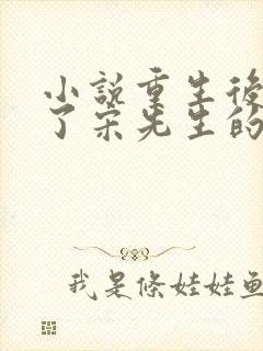 小说重生后她成了宋先生的小祖宗