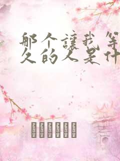 那个让我等了很久的人是什么歌