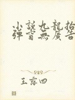 小说九龙抬棺无弹窗无广告