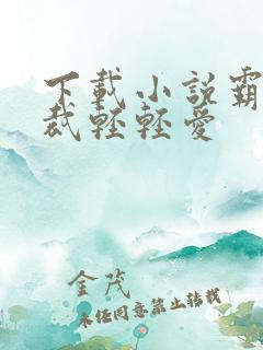 下载小说霸道总裁轻轻爱