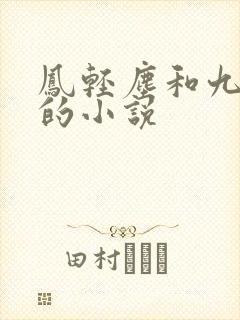凤轻尘和九皇叔的小说