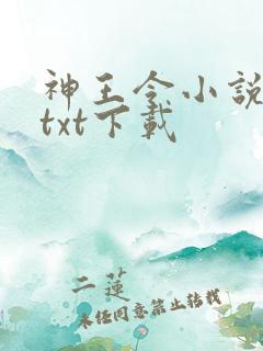 神王令小说免费txt下载