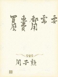 买车都需要交什么费用