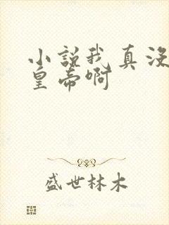 小说我真没想当皇帝啊