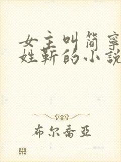 女主叫简宁男主姓靳的小说