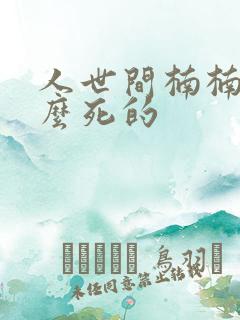 人世间楠楠是怎么死的