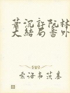 萧沉许阮林依然大结局番外