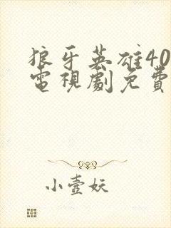 狼牙英雄40集电视剧免费观看