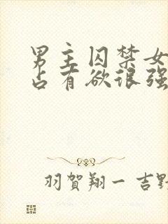 男主囚禁女主的占有欲很强