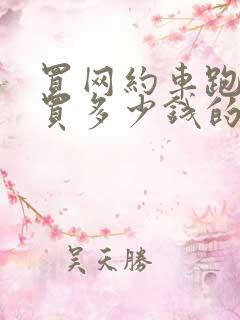 买网约车跑滴滴买多少钱的