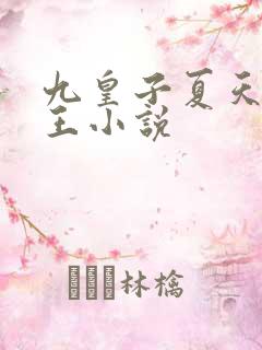 九皇子夏天荒州王小说