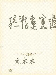 侯卫东官场笔记9—16是正版吗