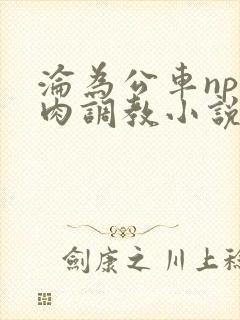 沦为公车np纯肉调教小说推荐