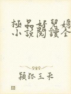 极品好儿媳苏媚小说阅读全文最新章