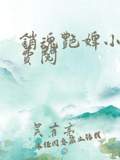 销魂艳婢小说免费阅