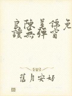 良陈美锦免费阅读无弹窗