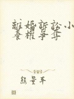 离婚诉讼小孩抚养权争夺