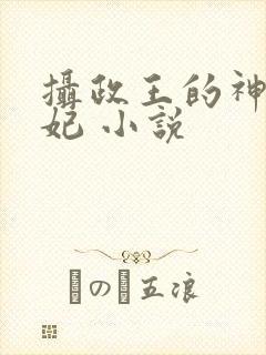 摄政王的神医毒妃 小说